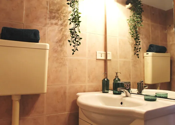 University Home * Bari